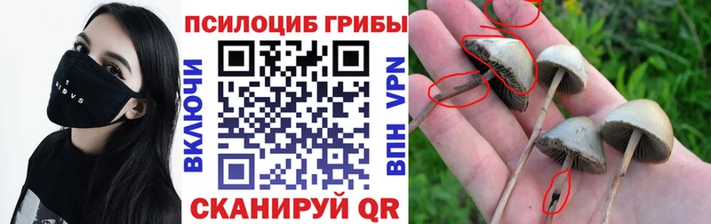 Псилоцибиновые грибы ЛСД  Афипский 